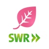 SWR Apfelblüten