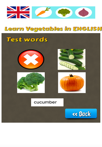 Learn Vegetables in English Language screenshot 4