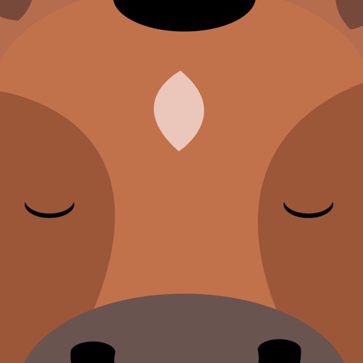 BitLang: Learn languages quickly.