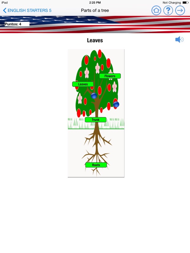 English Segundo de Primaria Trimestre 2 Level Starters 5 for(圖5)-速報App