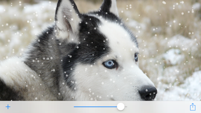 How to cancel & delete Magic Snow from iphone & ipad 2