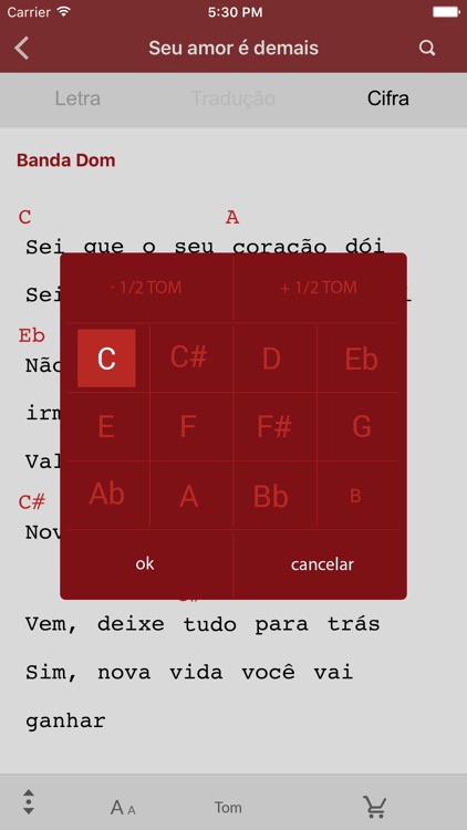 Música Católica screenshot-4