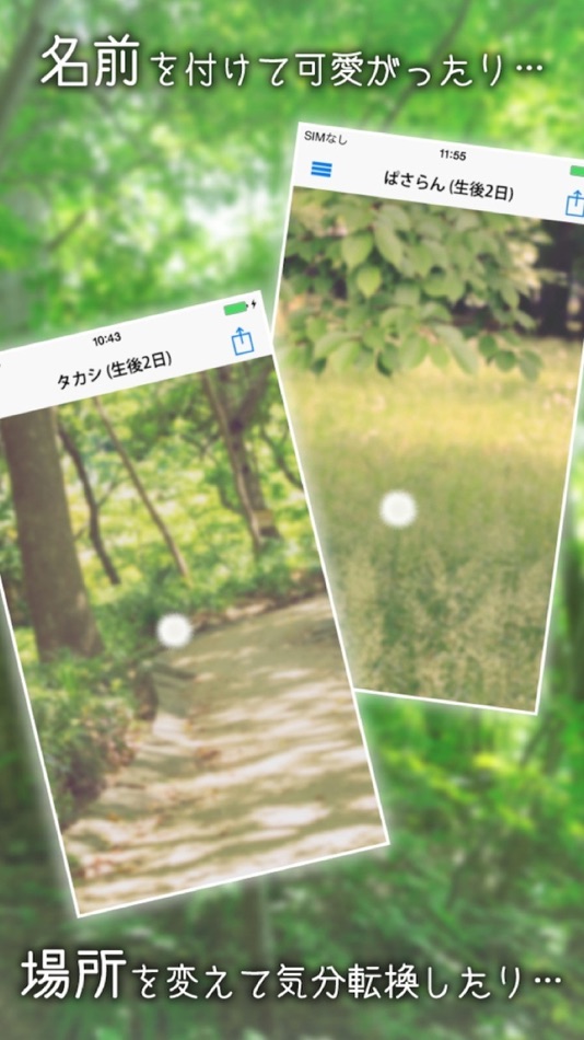 #3. ケサランパサラン - 不思議な生き物を育成してみませんか?【癒し系育成ゲーム】 (iOS) 由: Goodia Inc.