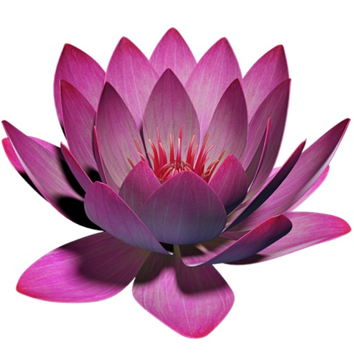 Lotus 3D Icon