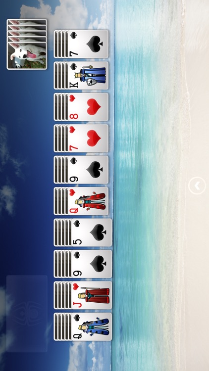 ⋆Spider Solitaire+
