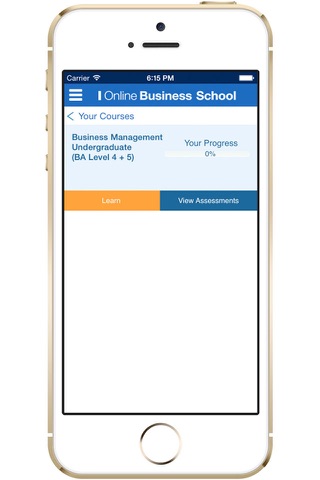 Online Business School screenshot 3