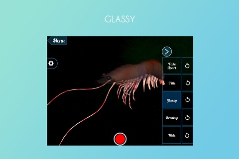 Prawn 3D screenshot 3