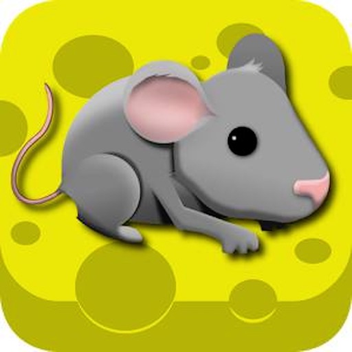 Cheese N Mouse - Run Icon