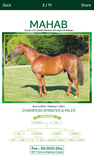 Wathba Stallions(圖3)-速報App