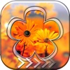 BlurLock - Flowers in the Garden : Blur Lock Screen Photo Maker Wallpapers Pro