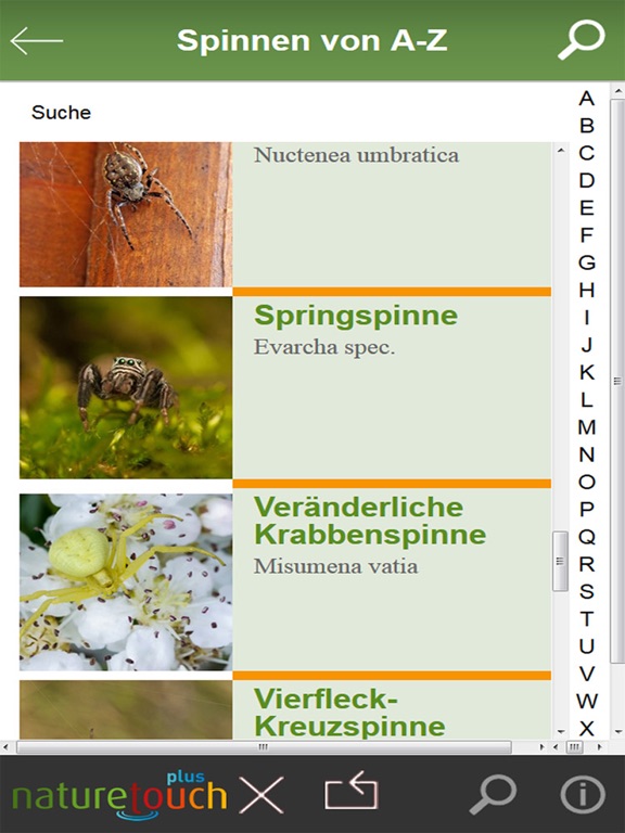 Screenshot #6 pour Spinnen und Spinnentiere bestimmen