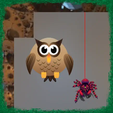 Spider Web K Cheats