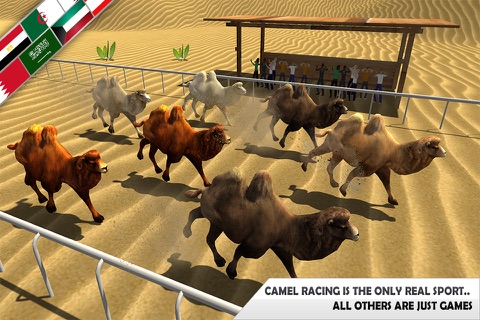 Real Camel Simulator 3d: Horse Racing game & wild animals games screenshot 3