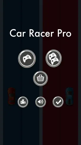 Game screenshot Car Racer Pro apk