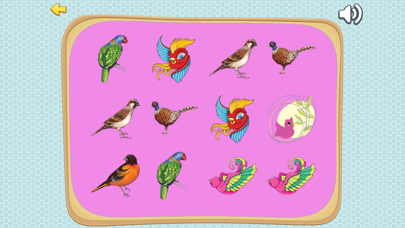 Improve Your Kids Brain With Matches Bird Cardsのおすすめ画像2