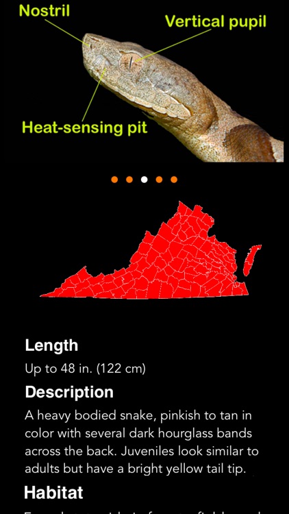 Snakes of Virginia