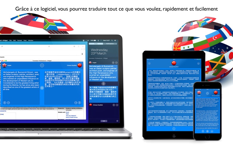Screenshot #3 pour Traducteur Prof + Widget