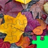 Jiggy For Scenic Fall Leaves - Pro Collection Packs