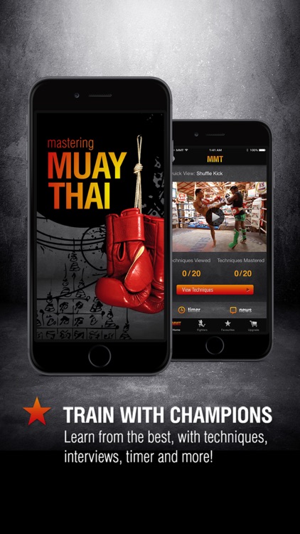 Mastering Muay Thai:The Ultimate Thai Boxing System from Novice to Master screenshot-0