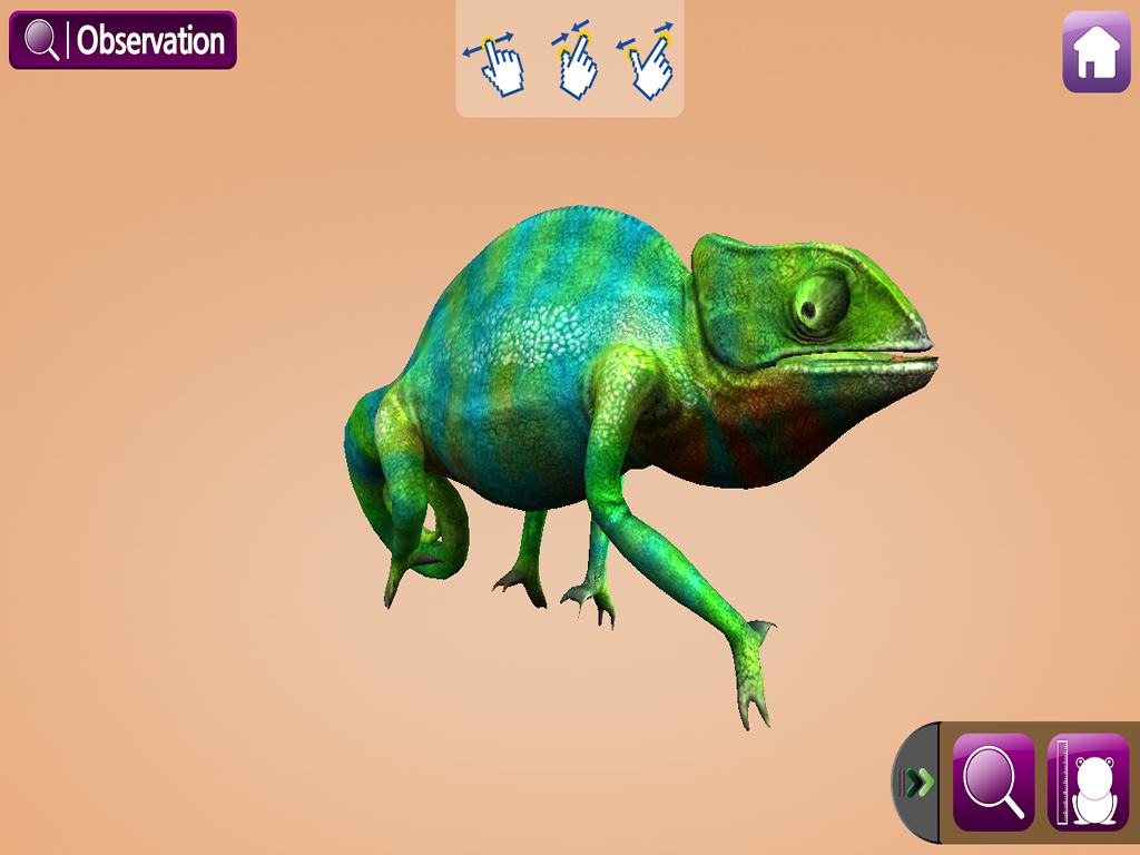 EVO HERPTILE - Augmented Reality