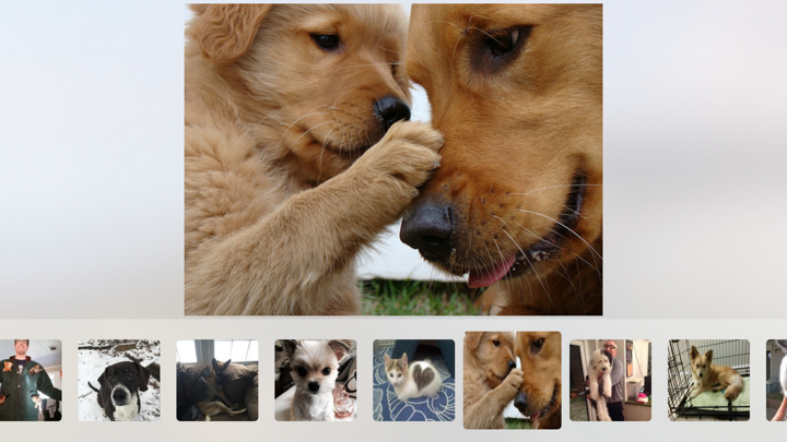 Screenshot #2 pour Cuddle - Cute Animal Pictures and Videos