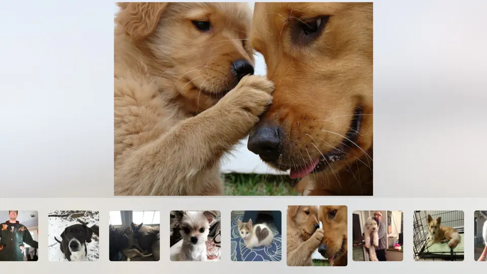 Cuddle - Cute Animal Pictures And Videos iPhone Ekran Görüntüsü 2