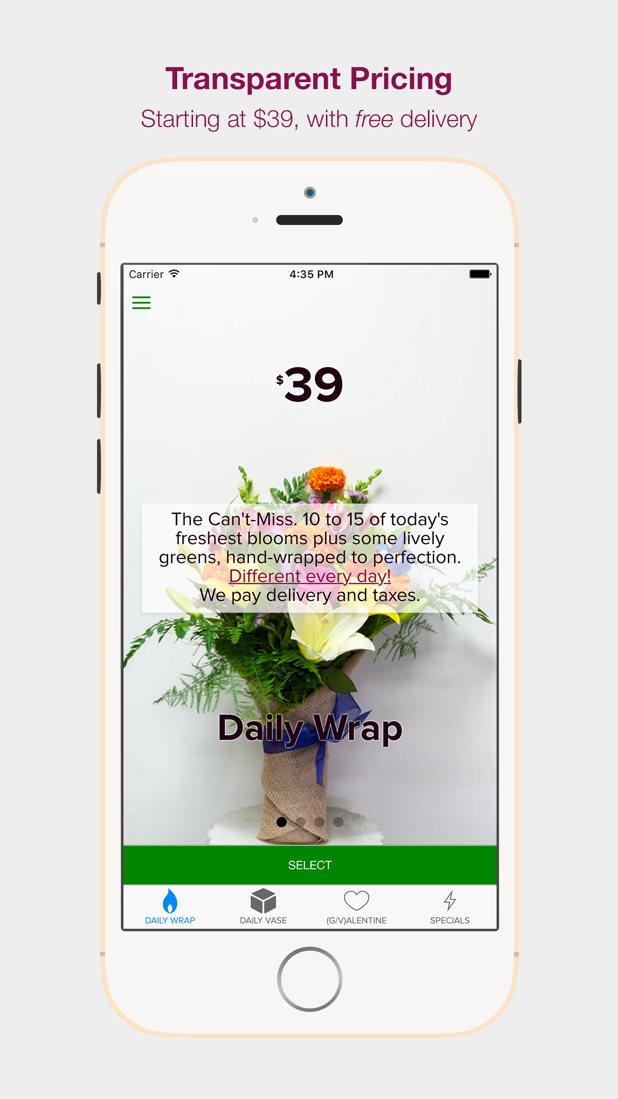 Brighten Flowers screenshot 2