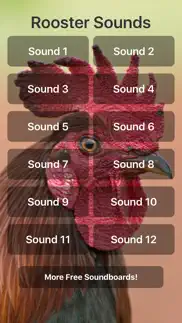 rooster sounds iphone screenshot 1