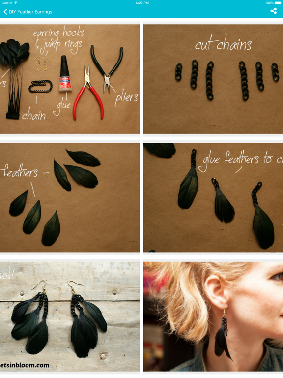 DIY Accessories Project Ideas iPad screenshot