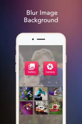 Game screenshot Blur Image Background - DSLR Camera Effect mod apk