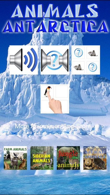 Animals Antarctica