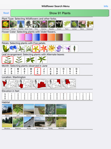 Maine Wildflowers iPad screenshot