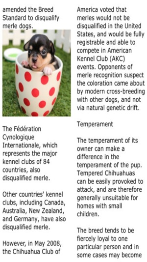 Yo Quiero Chihuahua!(圖4)-速報App
