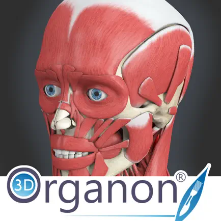 3D Organon Anatomy - Muscles, Skeleton, and Ligaments Читы