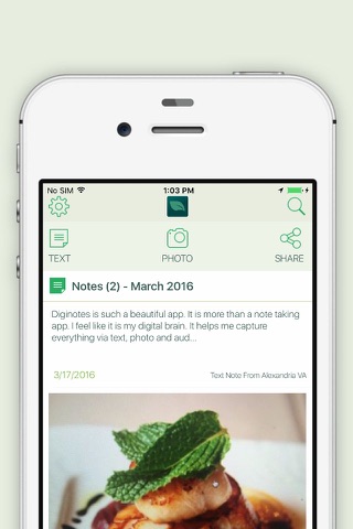 DigiNotes screenshot 4
