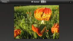 Photo Loupe Free iPhone image 4