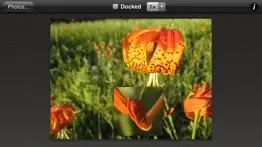 photo loupe free айфон картинки 4