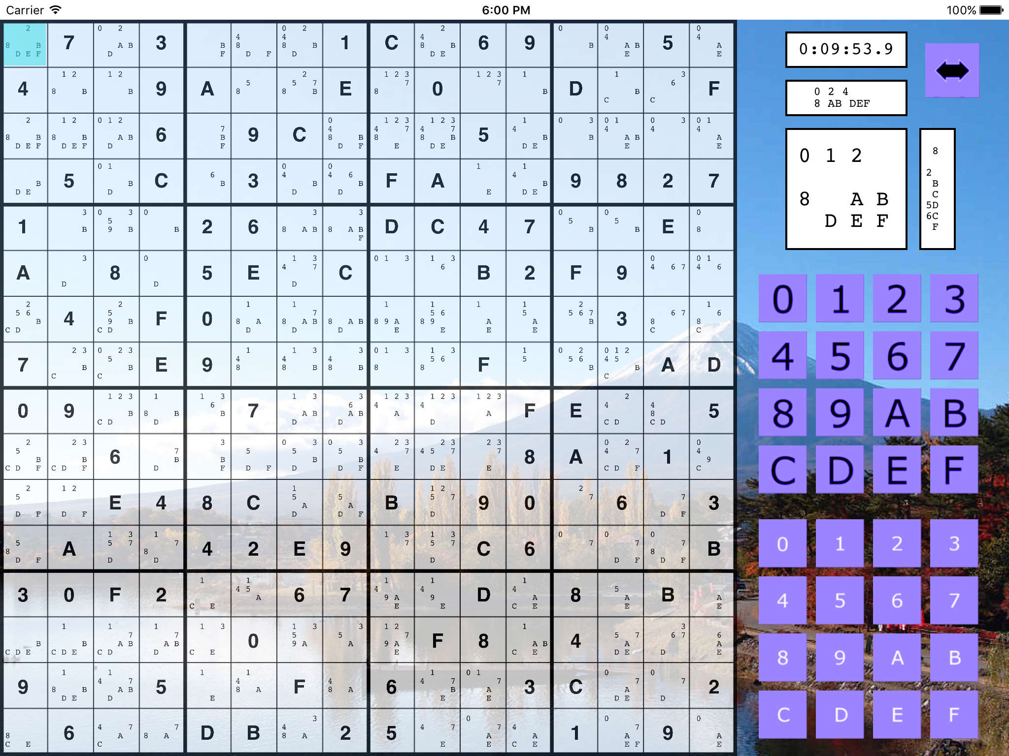 The Big Sudoku screenshot 7