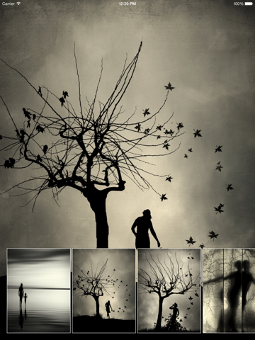 Fine Art Photography app screenshot 3