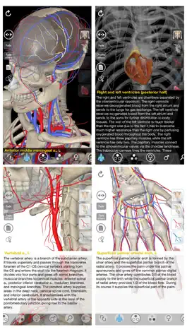 Game screenshot 3D Organon Anatomy - Heart, Arteries, and Veins mod apk