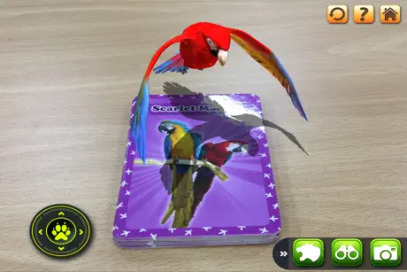 3D LEARNING CARD BIRDS