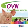 DSM Swine Vitamin Quiz
