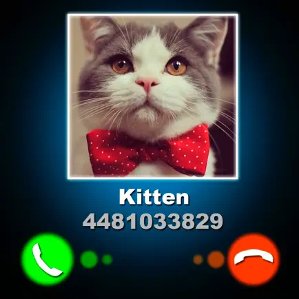 Fake Call Kitten Joke Cheats