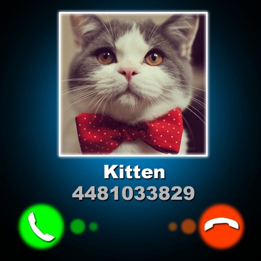 Fake Call Kitten Joke icon