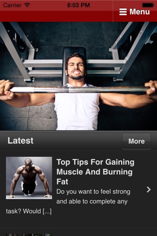 How To Build Muscle - Bodybuilding Tips and Advice screenshot 2