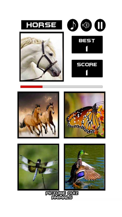 Picture Quiz Animals -  Free funMind Teaser game