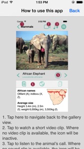 Sasol Mammals for Beginners (Lite): Quick facts, photos and videos of 46 southern African mammals screenshot #5 for iPhone