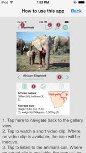 Sasol Mammals for Beginners (Lite): Quick facts, photos and videos of 46 southern African mammals screenshot #5 for iPhone