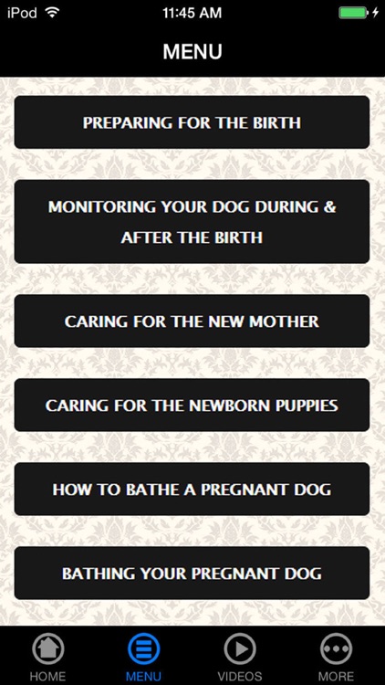 Be a Professional Help a Mother Dog Birth Fast & Safe screenshot-4