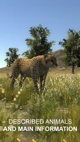 Game screenshot Explain 3D: Tropical and African animals FREE mod apk